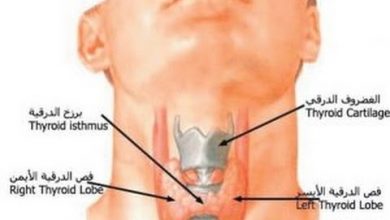 يلا خبر  | علاج طبيعي للغدة الدرقية في المنزل بمكونات طبيعية