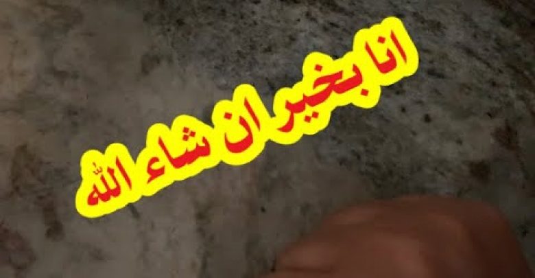 يلا خبر  | هي مجرد رساله اطمئنان