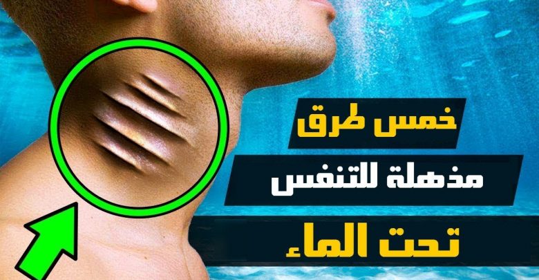 5 طرق مبتكرة للتنفس تحت الماء .