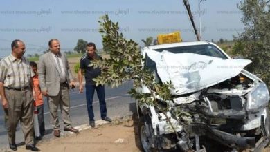 يلا خبر  | الوطن | المحافظات | مصرع شخص وإصابة 6 في تصادم سيارتين على طريق شربين بالدقهلية