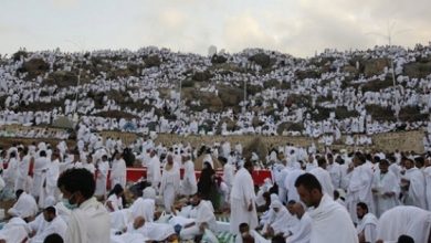 يلا خبر  | الوطن | مصر | مساعد قائد قوات أمن الحج: تأمين منافذ استقبال الحجاج بقدرات كافية