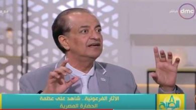 يلا خبر  | الوطن | مصر | المؤرخ عصام الشماع يطلق حملة شعبية لمنع بيع الآثار المصرية