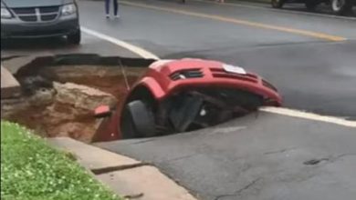 يلا خبر | بالصور..ابتلاع شاحنة على عمق 20 قدماً تحت الأرض