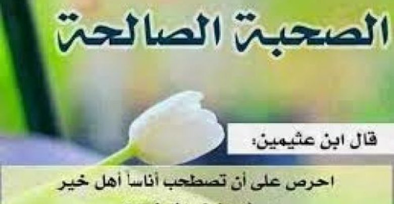 يلا خبر  | الصحبة الصالحة | الوفد