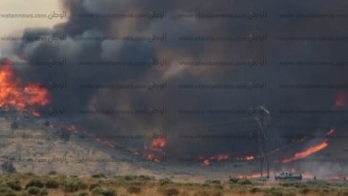 يلا خبر  | “البحوث الزراعية”: غابات الأمازون تتحكم في كمية الأمطار حول العالم – مصر