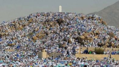 يلا خبر  | الوطن | مصر | منطقة الوقوف فيها يوم عرفة يبطل الحج.. “البحوث الإسلامية” توضحها