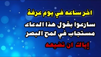 سارعوا بقول هذا الدعاء دعاء اخر ساعة من يوم عرفة فأبواب سموات مفتوحة والدعاء مستجاب في لمح البصر