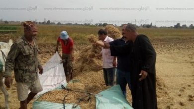 يلا خبر  | “الصناعات”: مصر تكتفي ذاتيا من الأرز لأول مرة منذ 10 سنوات – اقتصاد