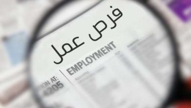 يلا خبر  | نشرة التوظيف.. فرص عمل بالبنوك والجهات الحكومية – أي خدمة