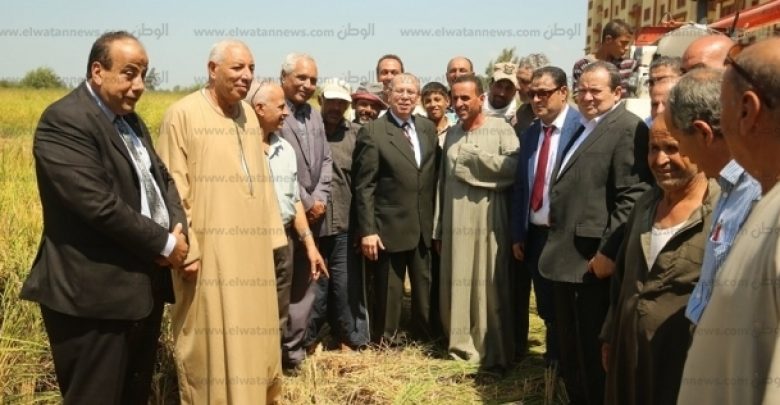 يلا خبر  | محافظ كفر الشيخ يستمع لشكاوي المزارعين.. ويشاركهم في حصاد الأرز – المحافظات