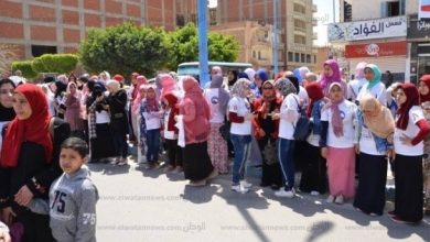 يلا خبر  | نائبة تطالب وزير التعليم بتشكيل لجنة للتأكد من جاهزية المدارس – مصر