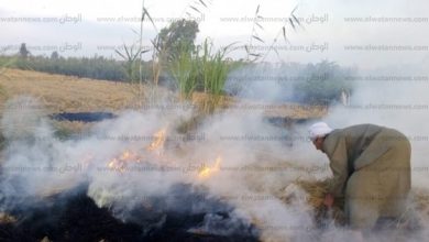 يلا خبر  | السيطرة على حريق “قش الأرز” بأرض زراعية بكفر الشيخ وتحرير محضر لصاحبها – المحافظات