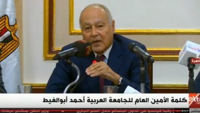 يلا خبر  | أبو الغيط: الوضع العربي صعب للغاية ولا توجد انفراجات حقيقية – مصر