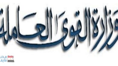 يلا خبر  | «لمدة عام» قرار جديد من القوى العاملة للجنسين من خريجي المعاهد العليا والجامعات 2019.. ونشرة في الجريدة الرسمية