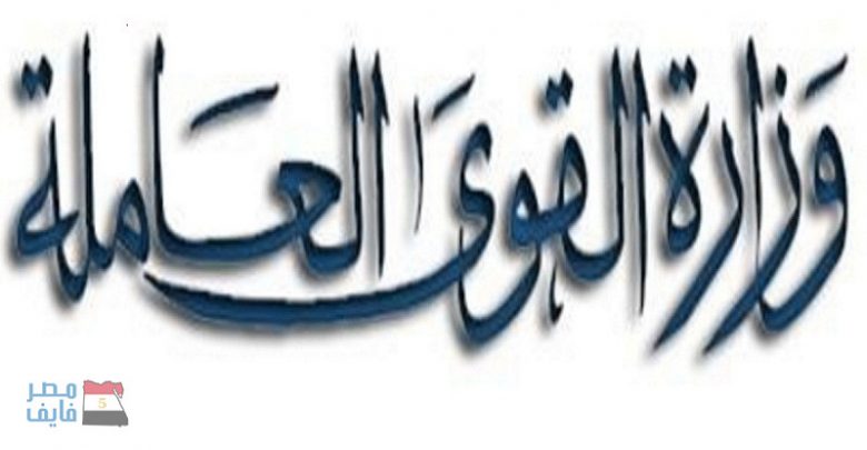 يلا خبر  | «لمدة عام» قرار جديد من القوى العاملة للجنسين من خريجي المعاهد العليا والجامعات 2019.. ونشرة في الجريدة الرسمية