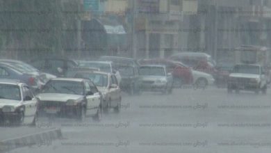 يلا خبر  | عاجل.. إغلاق الطريق الإقليمي قرب الفيوم والدفع بسيارات الإغاثة – مصر