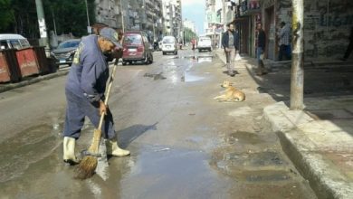 يلا خبر  | رغم وفاة أحدهم بسبب المطر.. عمال النظافة خلية نحل في شوارع الإسكندرية – المحافظات