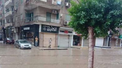 يلا خبر  | عاجل.. تعطيل الدراسة غدا في مدارس الإسكندرية بسبب الطقس السيء – المحافظات