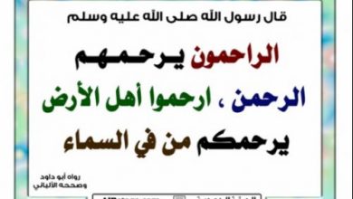 يلا خبر  | النجاة فى الأخرة ليس بالعمل ولكن برحمة الله