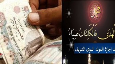 يلا خبر  | بـ750 جنيه.. صرف منحة مالية لجميع العاملين بتلك الجهة الحكومية بمناسبة المولد النبوي الشريف والصرف فوراً.. صور