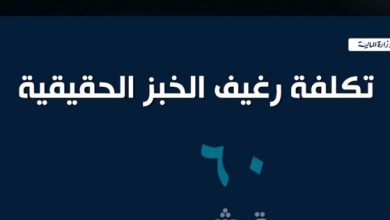 يلا خبر  | الوزراء: 53 مليار جنيه لدعم الخبز.. وإنتاج 325 مليون رغيف يوميا – مصر