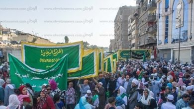 يلا خبر  | مسيرات ومواكب صوفية بالآلاف لإحياء ذكرى ميلاد الرسول: “حبيبي يا محمد.. يا كريم يا مؤيد” – مصر