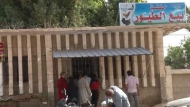 يلا خبر  | “زراعة البحر الأحمر” تطرح منتجات غذائية بأسعار مخفضة لمحاربة الغلاء – المحافظات