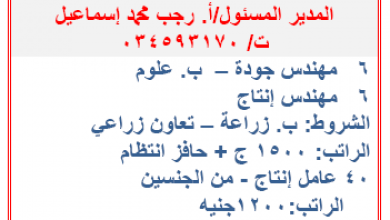 يلا خبر  | “جميع المؤهلات ورواتب مجزية” مئات الوظائف المعلنة بوزارة القوى العاملة والهجرة لشهر ديسمبر 2019