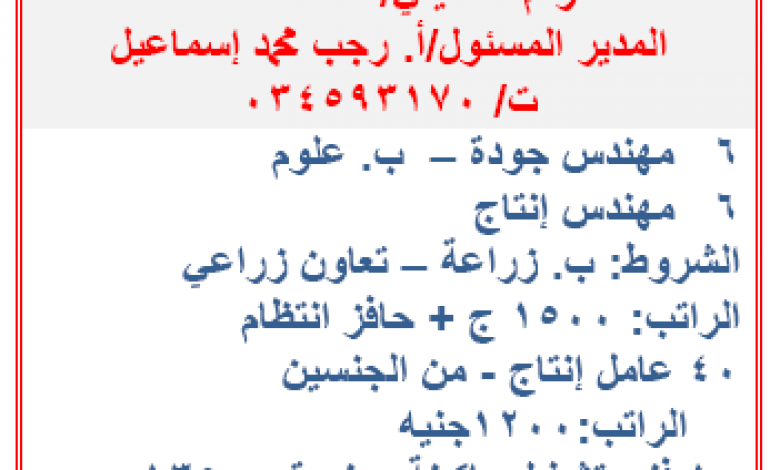 يلا خبر  | “جميع المؤهلات ورواتب مجزية” مئات الوظائف المعلنة بوزارة القوى العاملة والهجرة لشهر ديسمبر 2019