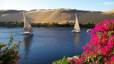 يلا خبر | بعد تصدرها تويتر.. أجمل صور أسوان رائعة جنوب مصر