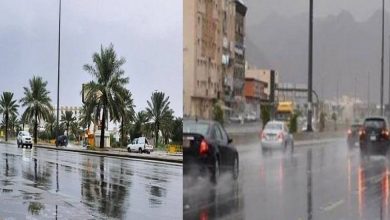 يلا خبر  | أمطار رعدية غزيرة وانخفاض في الحرارة.. التنبؤات الجوية تكشف موعد وتفاصيل اول موجة عدم استقرار في الشتاء