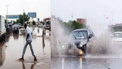 يلا خبر  | «صقيع في سيناء وأمطار بالساحل وشبورة» الأرصاد تكشف تفاصيل طقس الأحد غداً.. ودرجات الحرارة المتوقعة