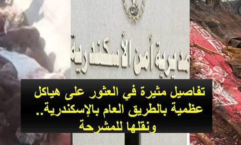 يلا خبر  | “وسر الـ9 غوايش” مفاجآت جديدة في واقعة العثور على هياكل عظمية وجثمانين في حالة تحلل تام لرجل وامرأة بالإسكندرية و4 قرارات للنيابة