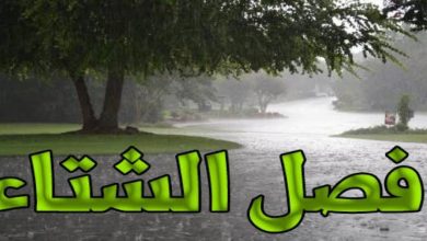 يلا خبر  | الأرصاد الجوية | الشتاء لم يأتي بعد .. والقادم برد وأمطار ورياح