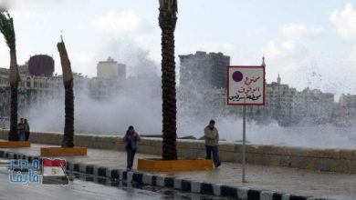 يلا خبر  | بالفيديو| تعرف على حالة الطقس للفترة القادمة.. والأرصاد تحذر من أمرين