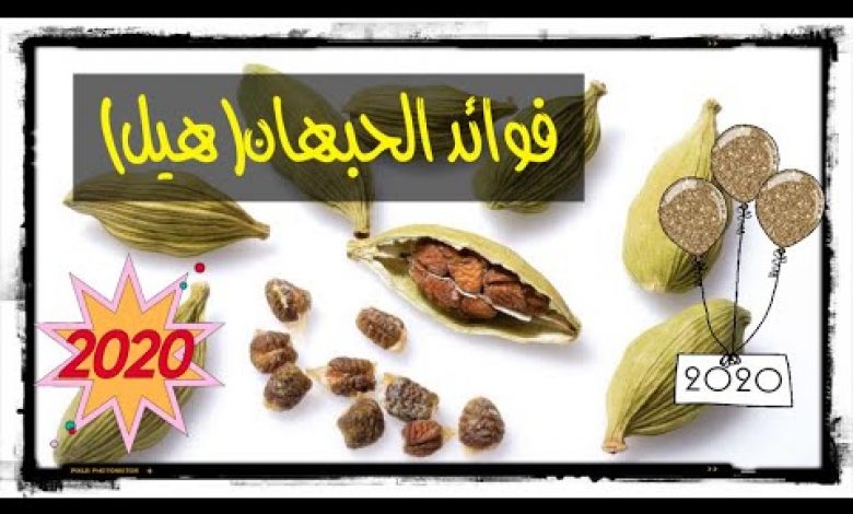 يلا خبر  | 10 أمراض يمكن علاجها من خلال فوائد الهيل(الحبهان)