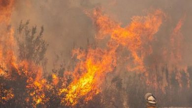 يلا خبر | على خلفية حرائق الغابات.. الناشطة البيئية جريتا ثونبرج تنتقد زعماء أستراليا