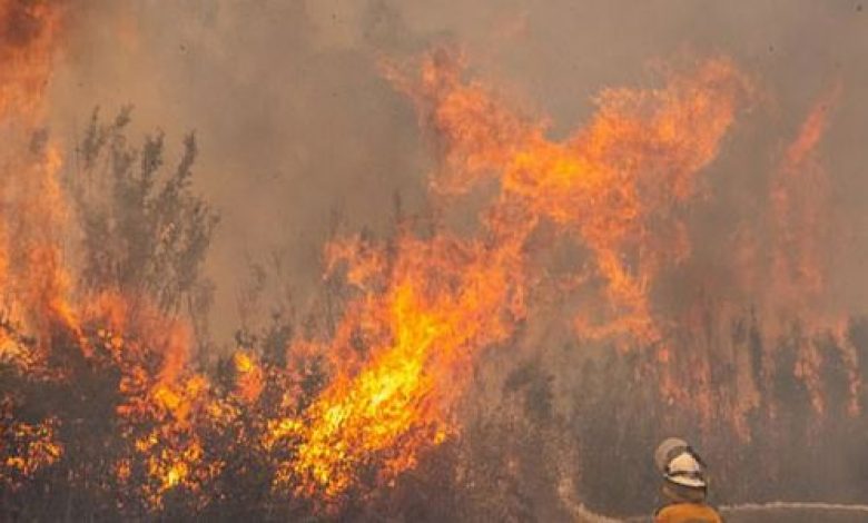 يلا خبر | على خلفية حرائق الغابات.. الناشطة البيئية جريتا ثونبرج تنتقد زعماء أستراليا